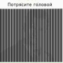 Фотография Левченко Владимира