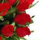 Яринка Любінська фотография #13 (источник - https://vk.com/id40322920)