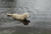 Иван Любченко фотография #39 (источник - https://vk.com/id682883)