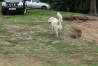 Иван Любченко фотография #26 (источник - https://vk.com/id682883)