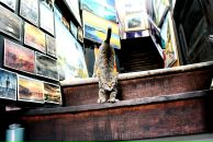 Алексей Чернышев фотография #7 (источник - https://vk.com/id457202)