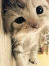 Марія Манжос фотография #28 (источник - https://vk.com/id107562618)