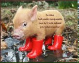 Фотография Пономаревой Марии