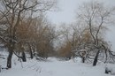 Борисфен Укрїнський фотография #4 (источник - https://vk.com/id158641288)