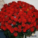 Фотография Волоткевич Оксаны