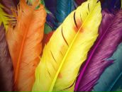 Фотография Любицкой Альбины