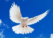 Фотография Ли Ирины