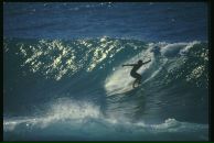 Фотография Саулиной Тани