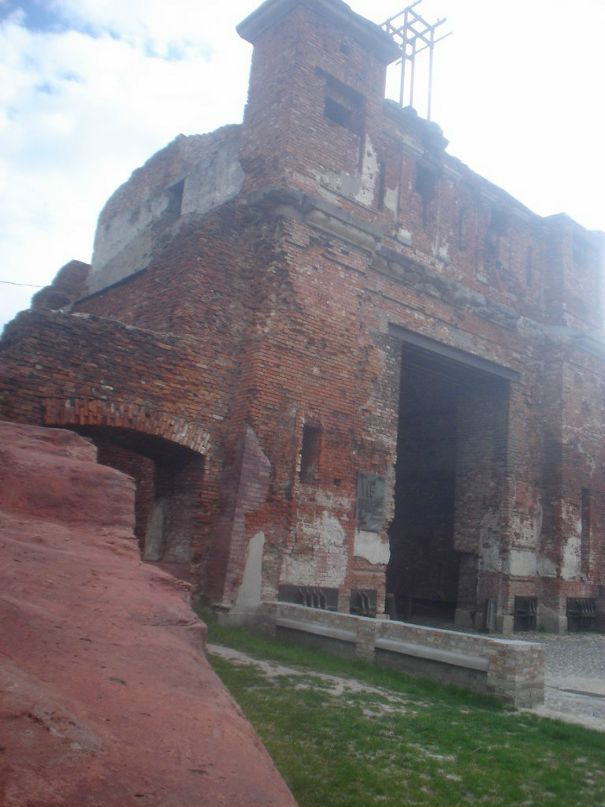 Николай Викторович фотография #20