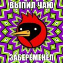 Катько Бирюкова фотография #47 (источник - https://vk.com/id26086263)