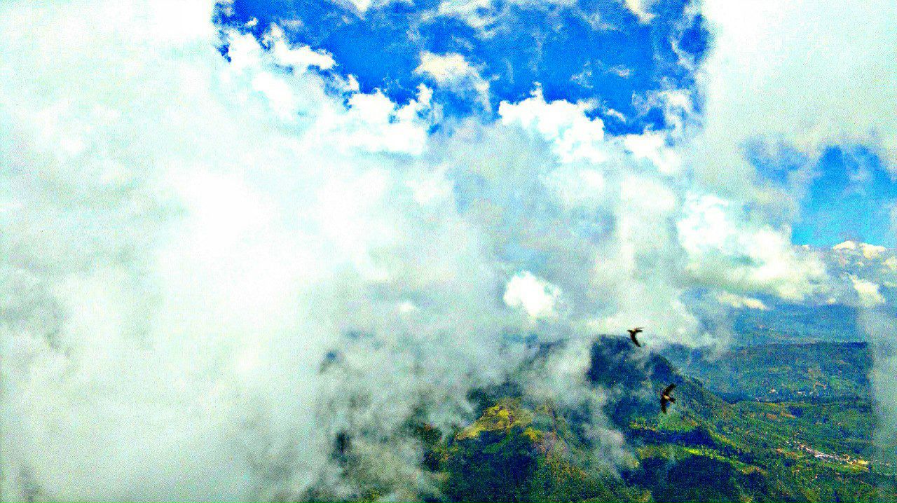 Эльдар Лойд фотография #15