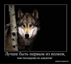 Фотография Некрасова Алексея