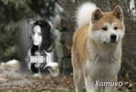 Ілона Мельничук фотография #3 (источник - https://vk.com/id140900837)