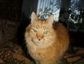 Фотография Нечаевой Марины