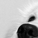 Альона Кіссс фотография #43 (источник - https://vk.com/id112118890)