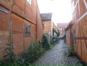 Елена Ли фотография #34 (источник - https://vk.com/id355235)