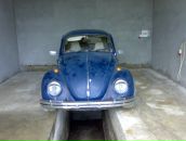 Томаш-іштван Кіш фотография #40 (источник - https://vk.com/id73210432)