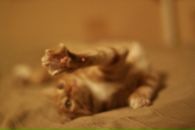 Фотография Стольниковой Ирины