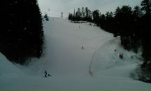 Дмитрий Никитин фотография #45 (источник - https://vk.com/id1869958)