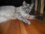 Фотография Басовой Оли