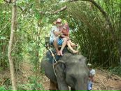 Мария Куриленко фотография #11 (источник - https://vk.com/id2772372)