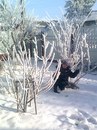 Анастасія Романюк фотография #30 (источник - https://vk.com/id139533293)