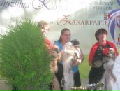 Васька Могіш фотография #20 (источник - https://vk.com/id27808011)