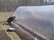 Фотография Шумского Николая