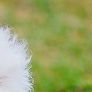 Іванна Панчук фотография #38 (источник - https://vk.com/id70090382)