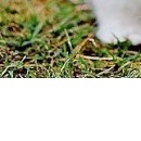 Іванна Панчук фотография #43 (источник - https://vk.com/id70090382)