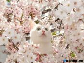 Фотография Евгенова Дмитрия