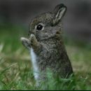 Фотография Устюжаниновой Дарии