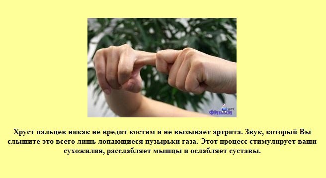 Виктор Дамер фотография #21