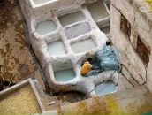 Дмитрий Фёдоров фотография #13 (источник - https://vk.com/id28347)