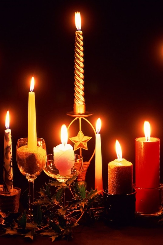 Алёна Гринь фотография #47