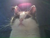 Фотография Макеева Серёги