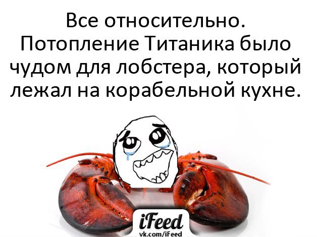 Дмитрий Грачев фотография #12