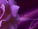 ღ ღ фотография #8 (источник - https://vk.com/id136462361)