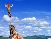 Фотография Курамшина Рафиля