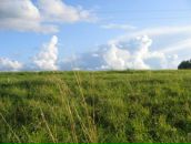 Фотография Milli Ms