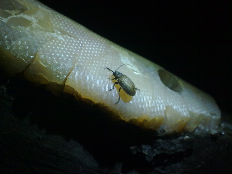 Данил Ушаков фотография #12