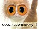 Костя Валуєв фотография #22 (источник - https://vk.com/id136858797)