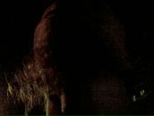 Фотография Тюкаева Александра