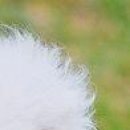 Вєталь Серйозний фотография #40 (источник - https://vk.com/id136859700)