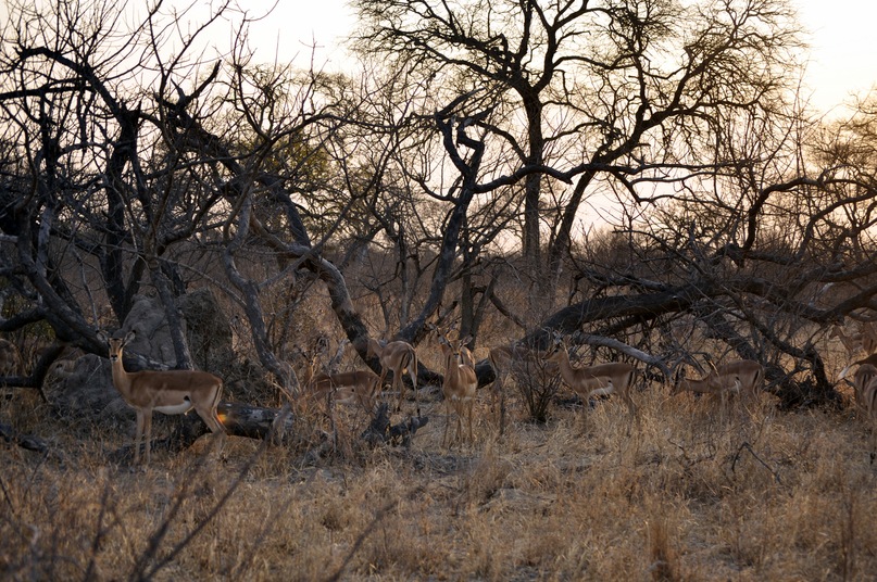 Иван Руденко фотография #31