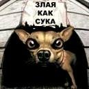 Діма Коваль фотография #4 (источник - https://vk.com/id157239088)