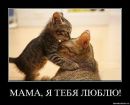Фотография Марина Лупсанова