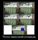 Denis Gs фотография #35 (источник - https://vk.com/id2787925)
