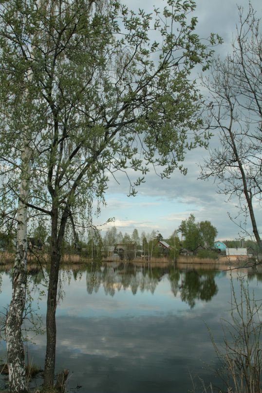 Vas Ku фотография #1