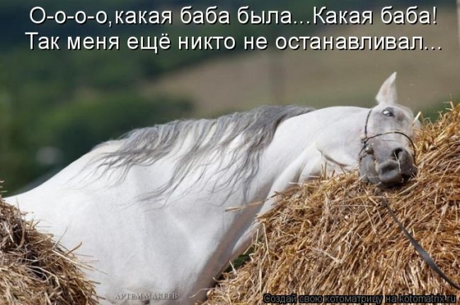 Антон Кропачев фотография #8